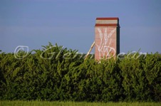 Wymark area farm
June 2007